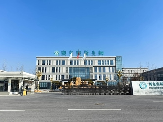 Shandong Saikesaisi Hydrogen Energy Co., Ltd ligne de production du fabricant